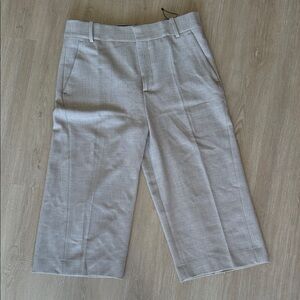 Zara Gray Cropped Pants